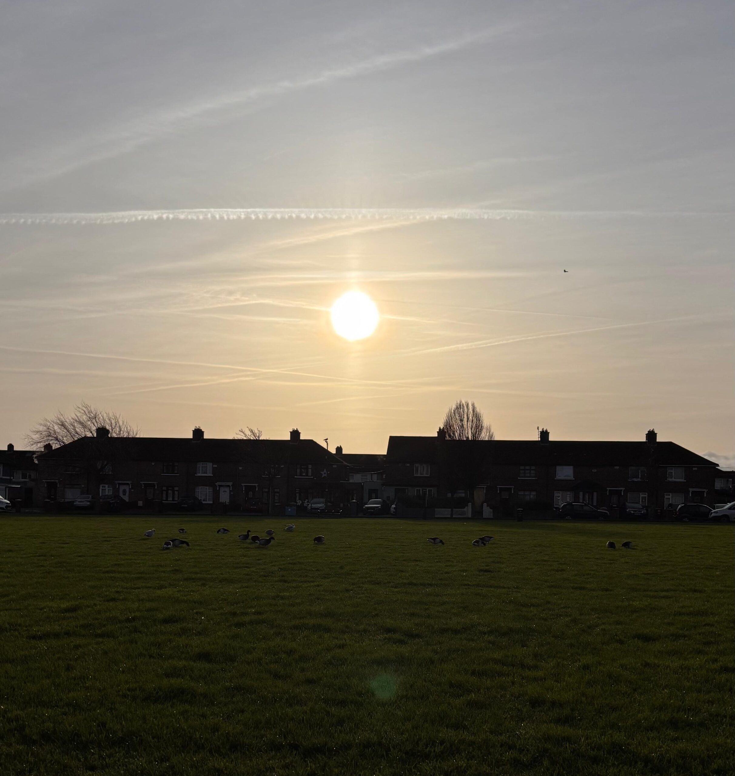 New Year and Better Habits?